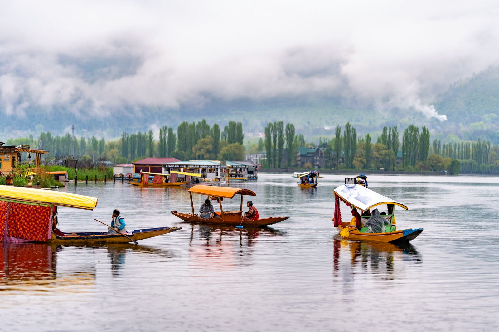Hotels in Srinagar