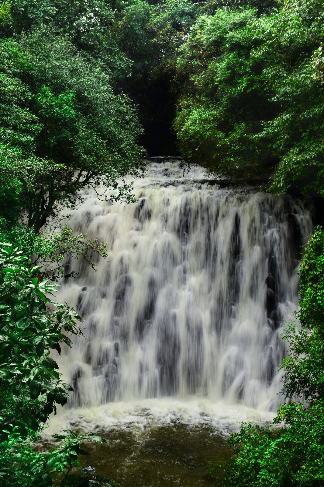 Hotels in Shillong