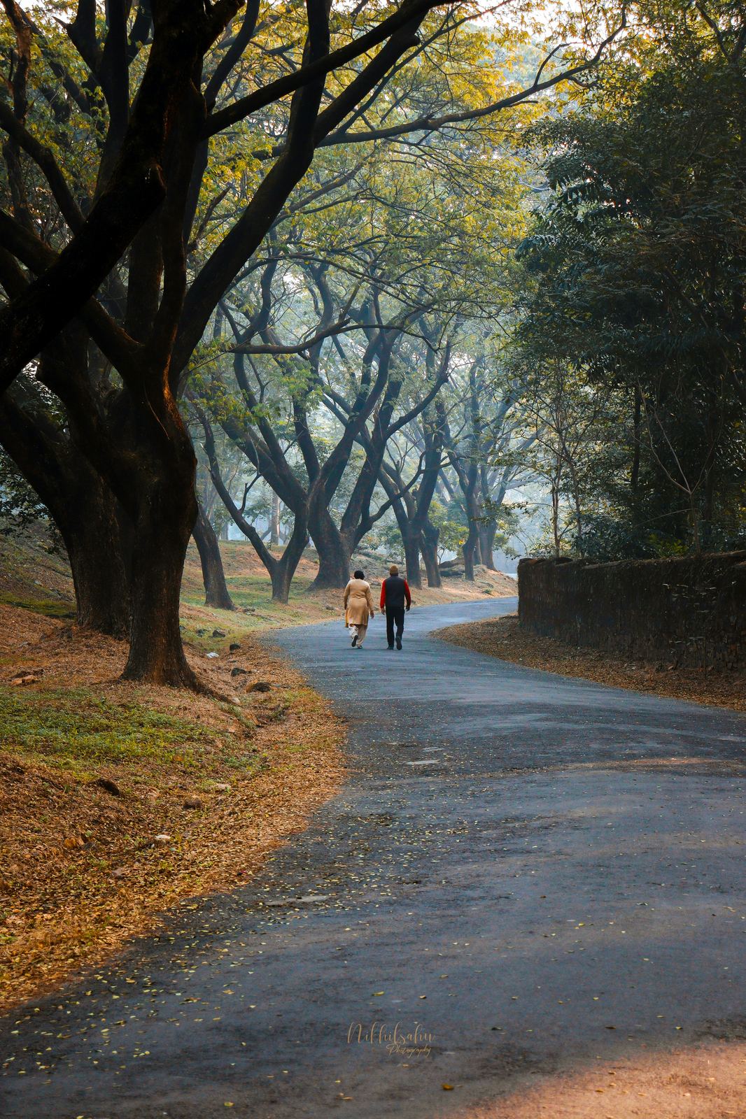 Hotels in Jamshedpur