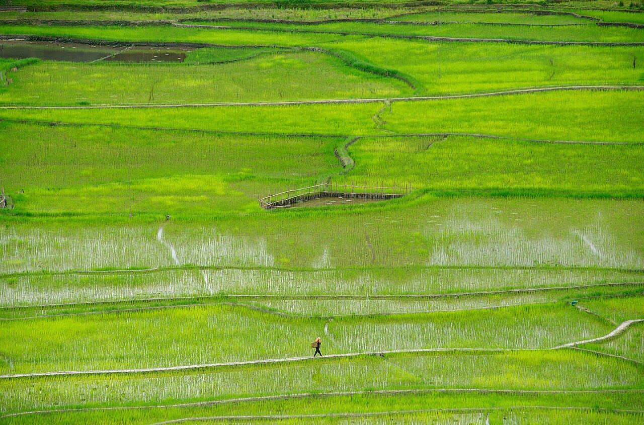 Hotels in ZIRO
