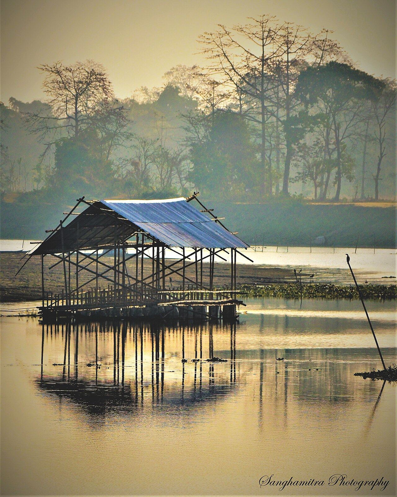 Hotels in Jorhat