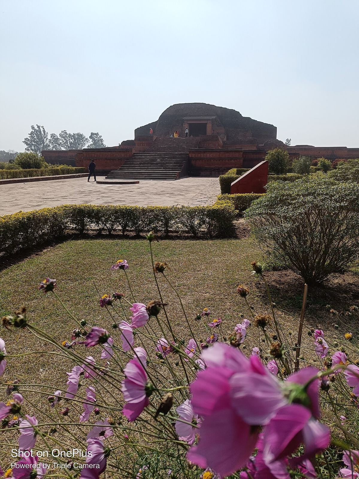 Hotels in Bodh Gaya