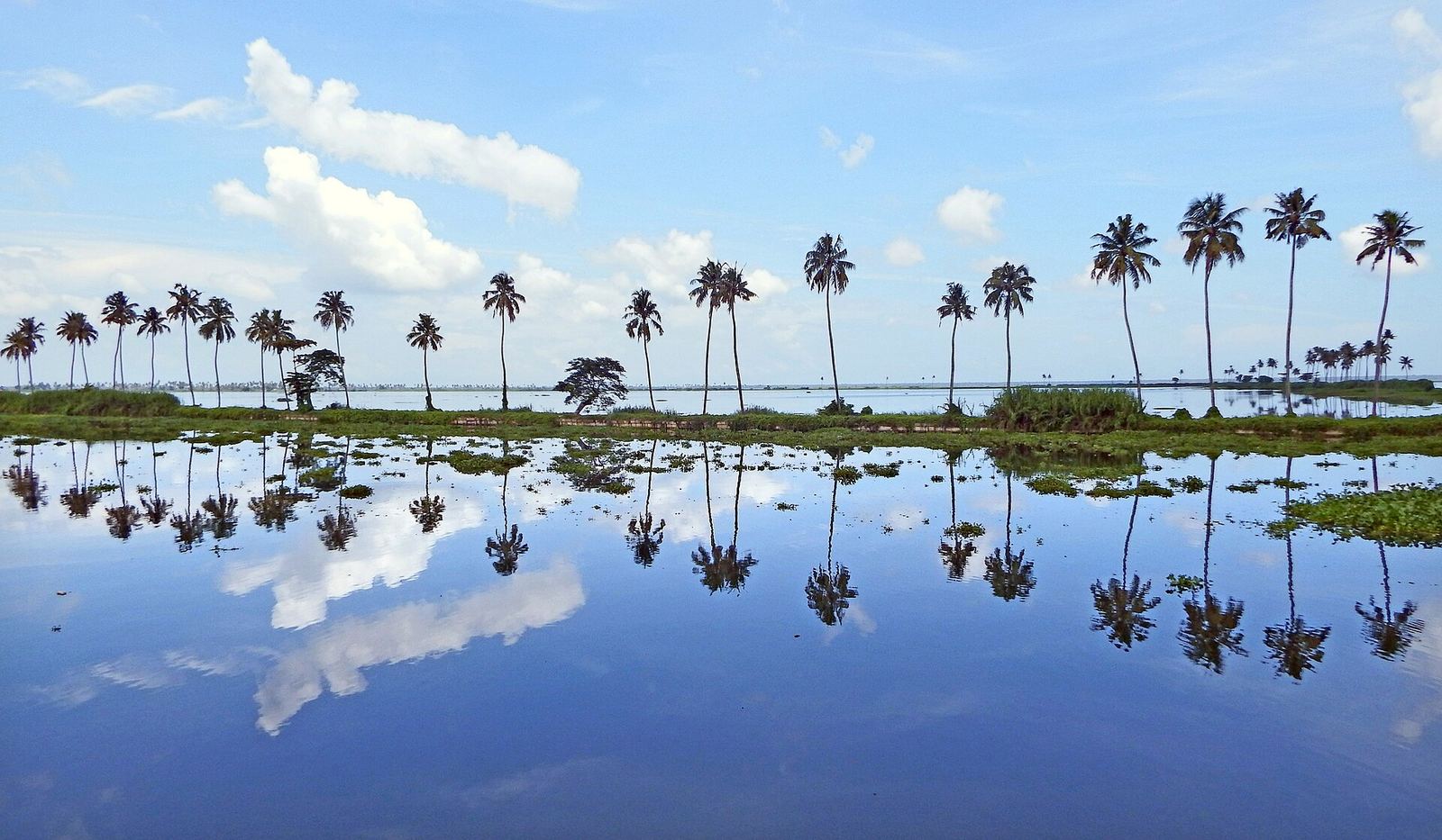 Hotels in Kottayam