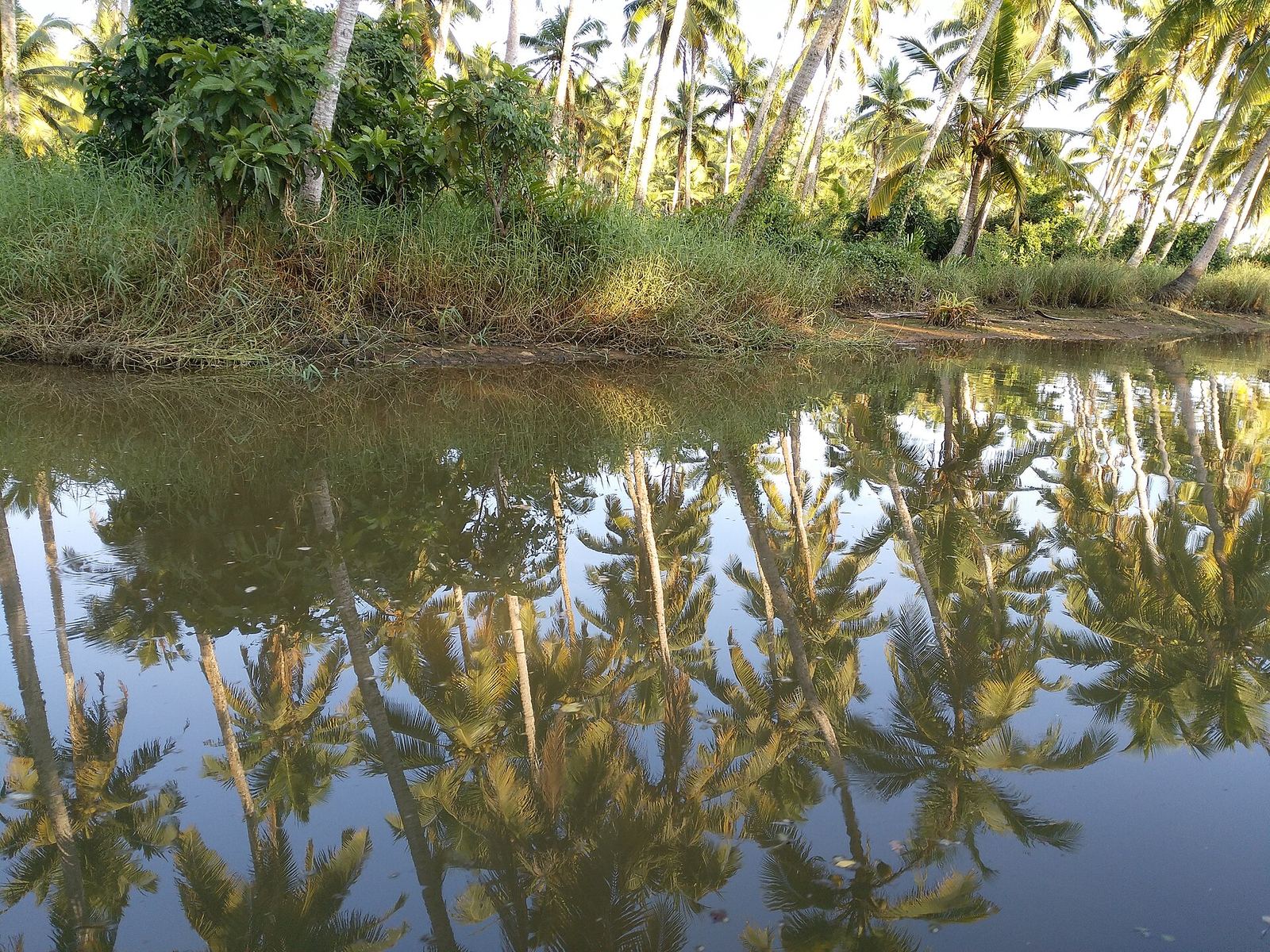 Hotels in Poovar
