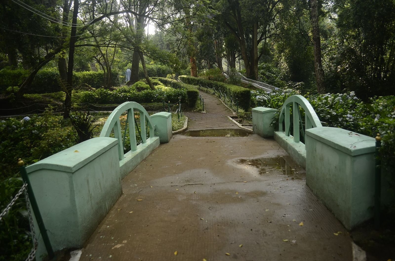 Hotels in Coonoor