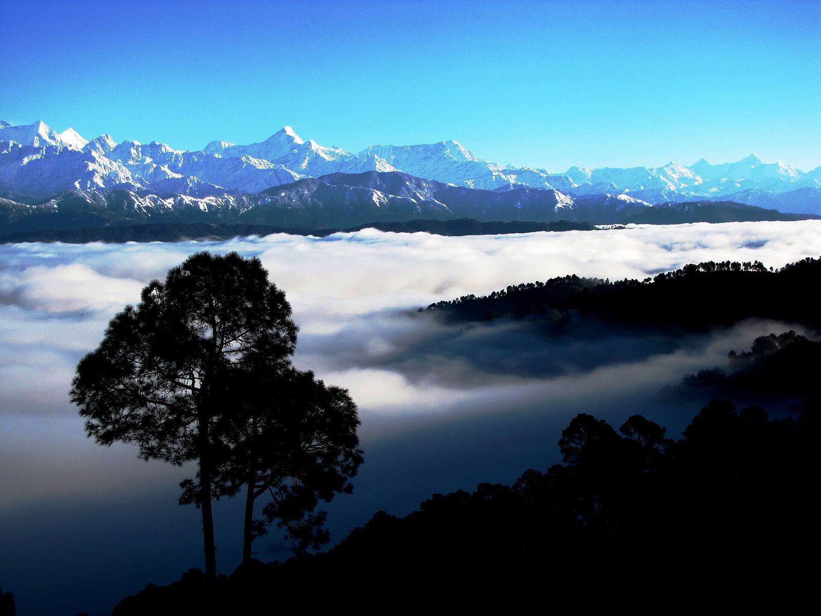 Hotels in Kausani