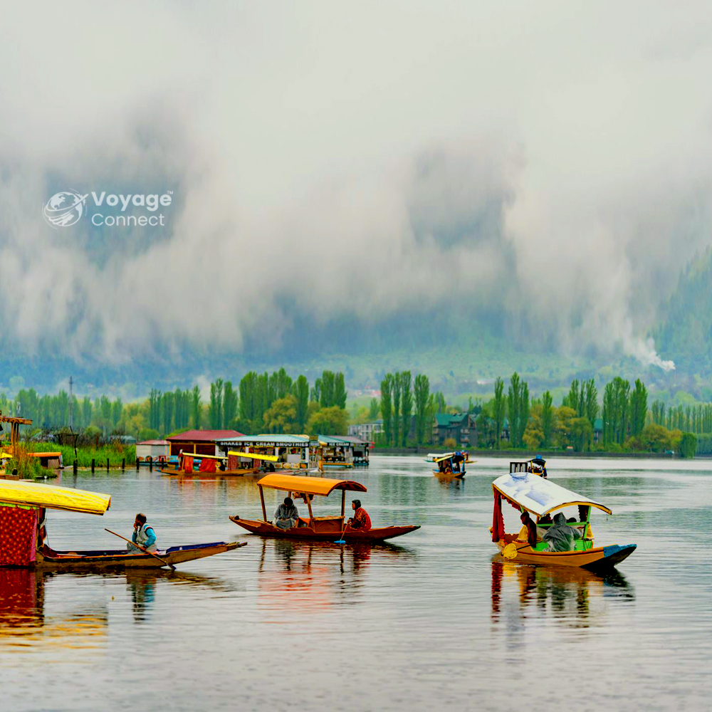 Jammu and Kashmir