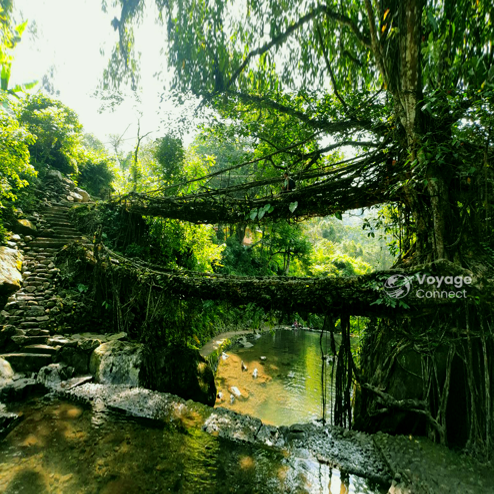Meghalaya
